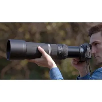 Canon RF 800mm F11 Lens for Wildlife Photography