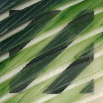 Extra Heavy Gel Matte by GOLDEN, 8 fl. oz. Jar, Professional Acrylic Gel Medium, Semi-Transparent