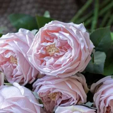 DUYONE Fake Flowers for Decoration Home Decor Real Touch Artificial Flowers Austin Rose Peony Latex Fake Flower Living Room Decoration Vivid Pink Roses Peonies (Pink 4pcs)