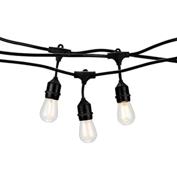 Holiday Lighting Outlet LED Outdoor Patio Lights - 46FT String with 16 Dimmable Edison Bulbs