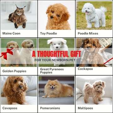 Grooming Dog Slicker Brush for Toy Poodle, Small Doodles & Maine Coon Cats - Best Dog Brush for Cockapoo Cavapoo Maltipoo and Pomeranian - Pet Slicker Brush & Comb Kit for Cats & small Great Pyrenees