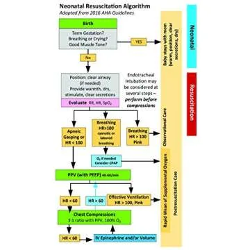Oakes' Neonatal Pediatric Respiratory Care Guide
