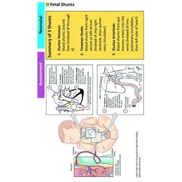 Oakes' Neonatal Pediatric Respiratory Care Guide