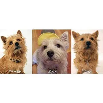 Les Pooch Puppy Tearless Dog Shampoo - Gentle & Effective
