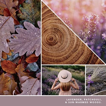 Dried Lavender & Oak Candle - Yankee Candle Studio