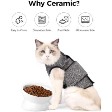 Elevated Cat Food Bowl for Comfort and Health