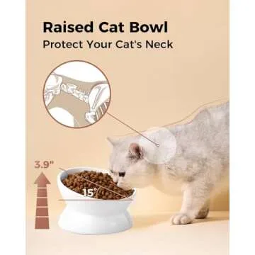 Elevated Cat Food Bowl for Comfort and Health