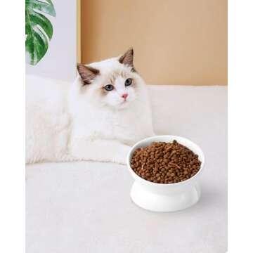 Elevated Cat Food Bowl for Comfort and Health
