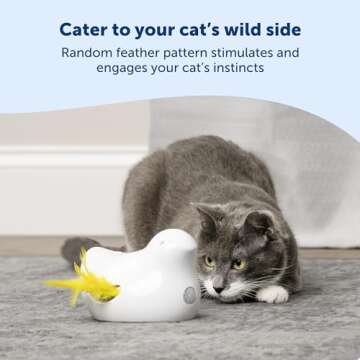 PetSafe Electronic Cat Toys – Automatic Cheese and Peek-A-Bird – Interactive Feather Teaser Toy