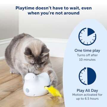 PetSafe Automatic Cat Play Teaser – Feather Fun & Engagement