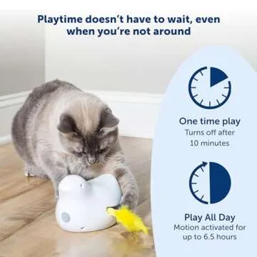 PetSafe Automatic Cat Play Teaser – Feather Fun & Engagement