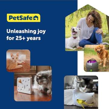 PetSafe Automatic Cat Play Teaser – Feather Fun & Engagement