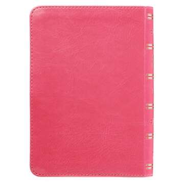 KJV BIBLE LARGE PRINT COMPACT IN PINK