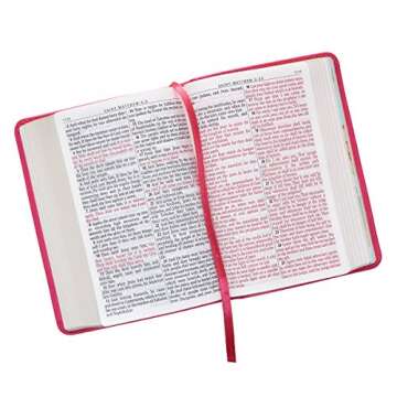 KJV BIBLE LARGE PRINT COMPACT IN PINK