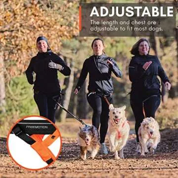 Non-stop dogwear Freemotion Harness 5.0 for Active Dogs