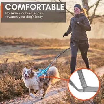 Non-stop dogwear Freemotion Harness 5.0 for Active Dogs