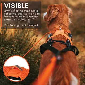 Non-stop dogwear Freemotion Harness 5.0 for Active Dogs