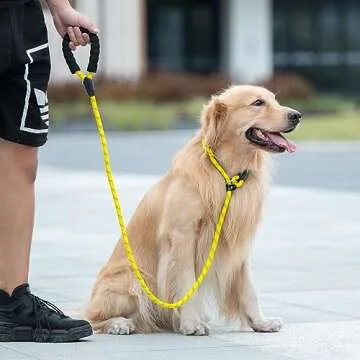 iYoShop Reflective Dog Leash for Training and Comfort