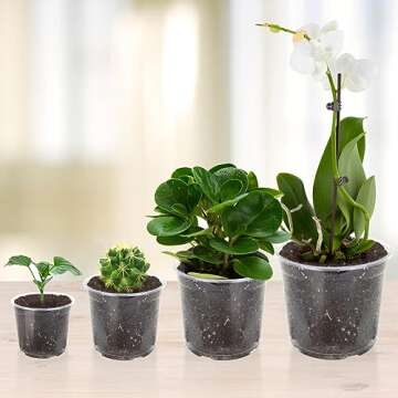 OUPSAUI 36 Pack 7/6/5/3.5 Inch Clear Nursery Pots Variety Pack, Clear Plastic Nursery Pot for Plants, Durable Seed Starting Pot with Drainage Holes, Flexible Transparent Pot