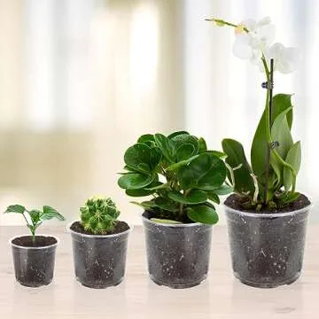 OUPSAUI 36 Pack 7/6/5/3.5 Inch Clear Nursery Pots Variety Pack, Clear Plastic Nursery Pot for Plants, Durable Seed Starting Pot with Drainage Holes, Flexible Transparent Pot