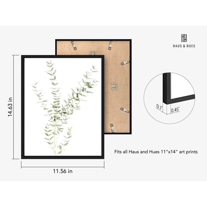 Botanical Plant Wall Art Prints - Set of 4