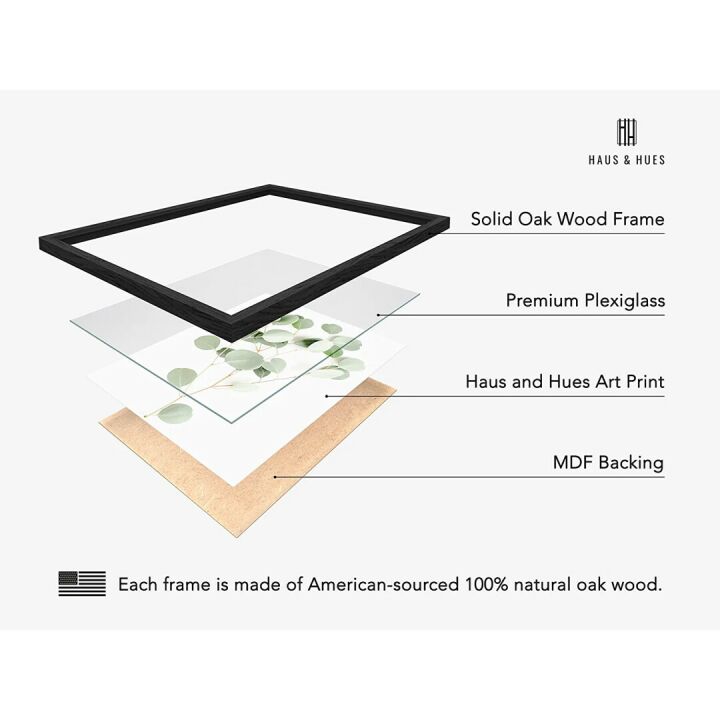 Botanical Plant Wall Art Prints - Set of 4