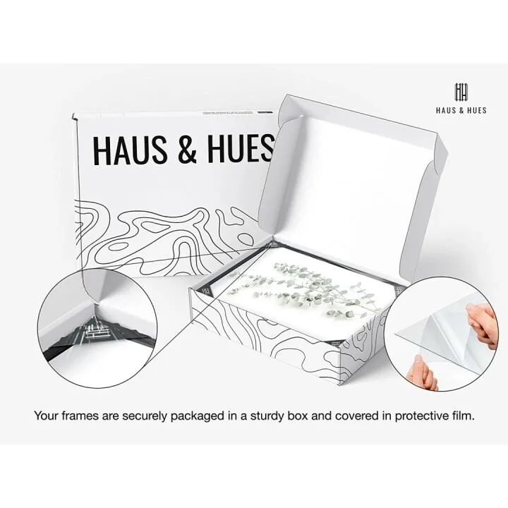 Botanical Plant Wall Art Prints - Set of 4