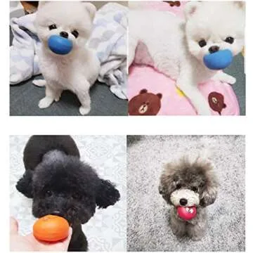 HDSX Soft Squeaky Dog Toys for Small Pets - 6 Pack