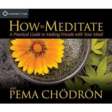 By Pema Chodron - When Things Fall Apart: Heart Advice for Difficult Times (abridged edition)
