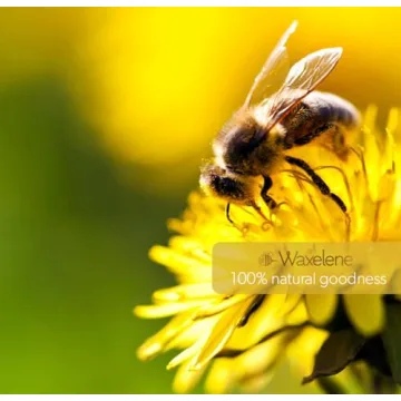 Waxelene Original Aerated Balm: Organic Skin Care Solution