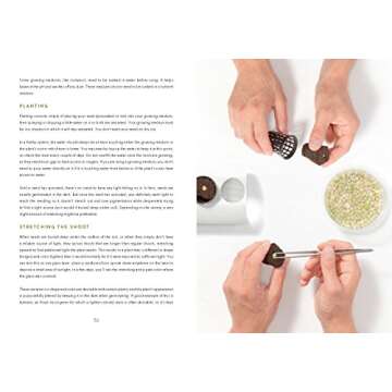 Grow Delicious Hydroponic Plants at Home Today!