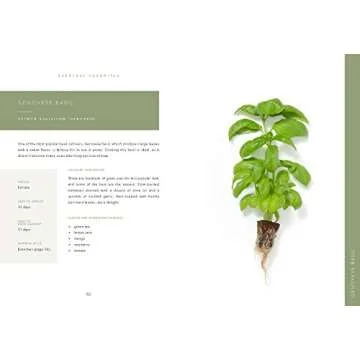 Grow Delicious Hydroponic Plants at Home Today!