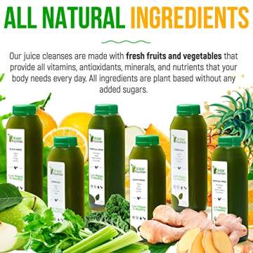 3 Day Green Juice Cleanse by Raw Fountain, All Natural Raw, Vegan Detox, Cold Pressed Juice, 18 Bottles 12oz, 3 Ginger Shots
