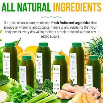 3 Day Green Juice Cleanse by Raw Fountain, All Natural Raw, Vegan Detox, Cold Pressed Juice, 18 Bottles 12oz, 3 Ginger Shots