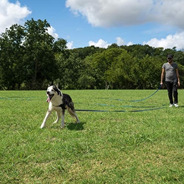 Best 30ft Hi Kiss Dog Recall Training Lead