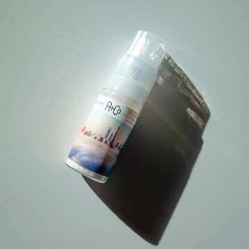 R+Co Skyline Dry Shampoo Powder for Oily Hair Refresh