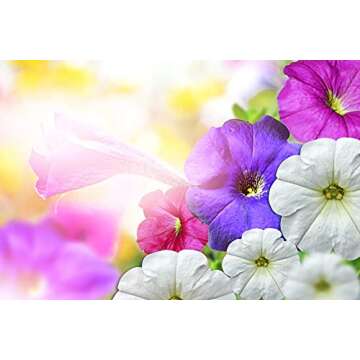 Mixed Color Tall Morning Glory Climbing Vine | 150 Seeds to Plant | Beautiful Flowering Vine. Made in USA, Ships from Iowa