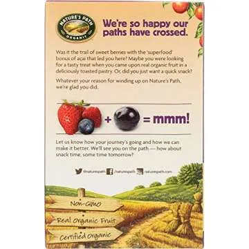 Organic Frosted Toaster Pastries Wildberry Acai | StarSun Depot