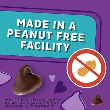 Annie's Organic Drizzle Granola Bars - Chocolate Chip Delight