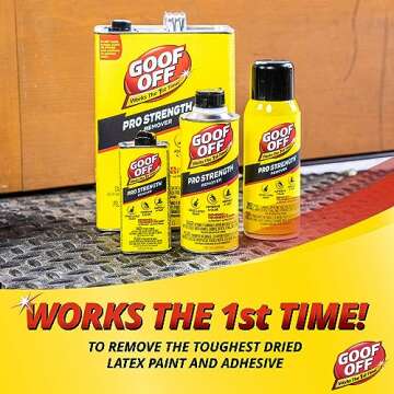 Goof Off FG658 Professional Strength Remover, Aerosol 12-Ounce