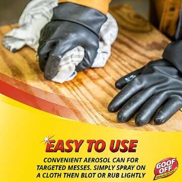 Goof Off FG658 Professional Strength Remover, Aerosol 12-Ounce