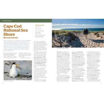 100 Parks, 5,000 Ideas: Where to Go, When to Go, What to See, What to Do