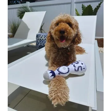 Funny Tequila Dog Toy for All Dogs Sizes with Squeaker