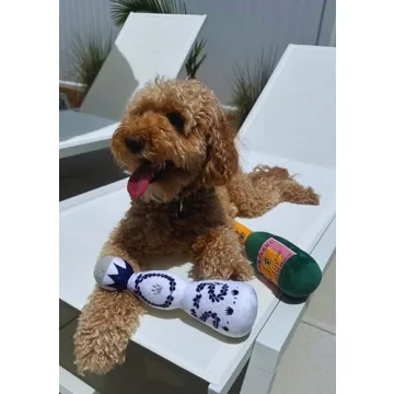 Funny Tequila Dog Toy for All Dogs Sizes with Squeaker