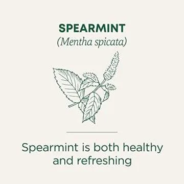 Organic Spearmint Tea, Refreshing & Healthy, 48 Tea Bags