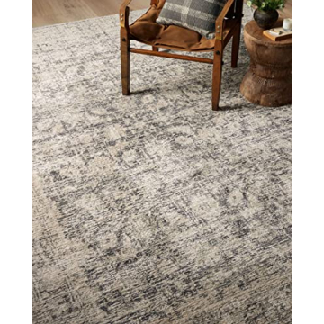 Loloi Amber Lewis Alie Collection Area Rug - Charcoal/Beige