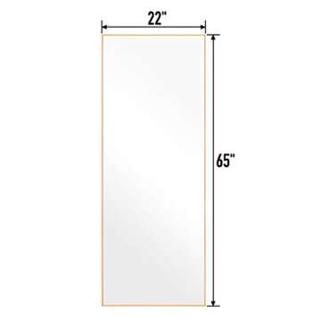 Rose Home Fashion Aluminum Alloy Thin Frame-65 x22“, Floor Mirror, Standing Mirror, Full Length Mirror, Large Mirror, Floor Length Mirror, Gold Mirror, Gold Frame