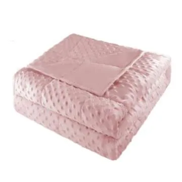 ALANSMA Luxury Velvet Weighted Blanket for All Seasons