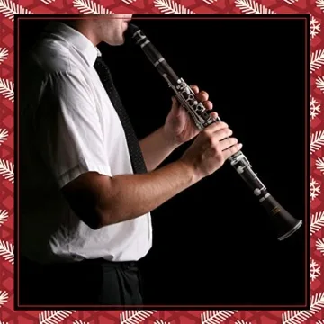 Eastar B Flat Clarinet for Beginner, ECL-300 with Accessories