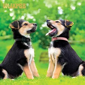 WLIXPBB Airtag Leather Dog Collar for Small Medium Large Dog Adjustable Soft Padded Air Tag Puppy Collar Heavy Duty Metal Buckle Collar with Anti-Lost Airtag Holder Protective Case,M,Pink